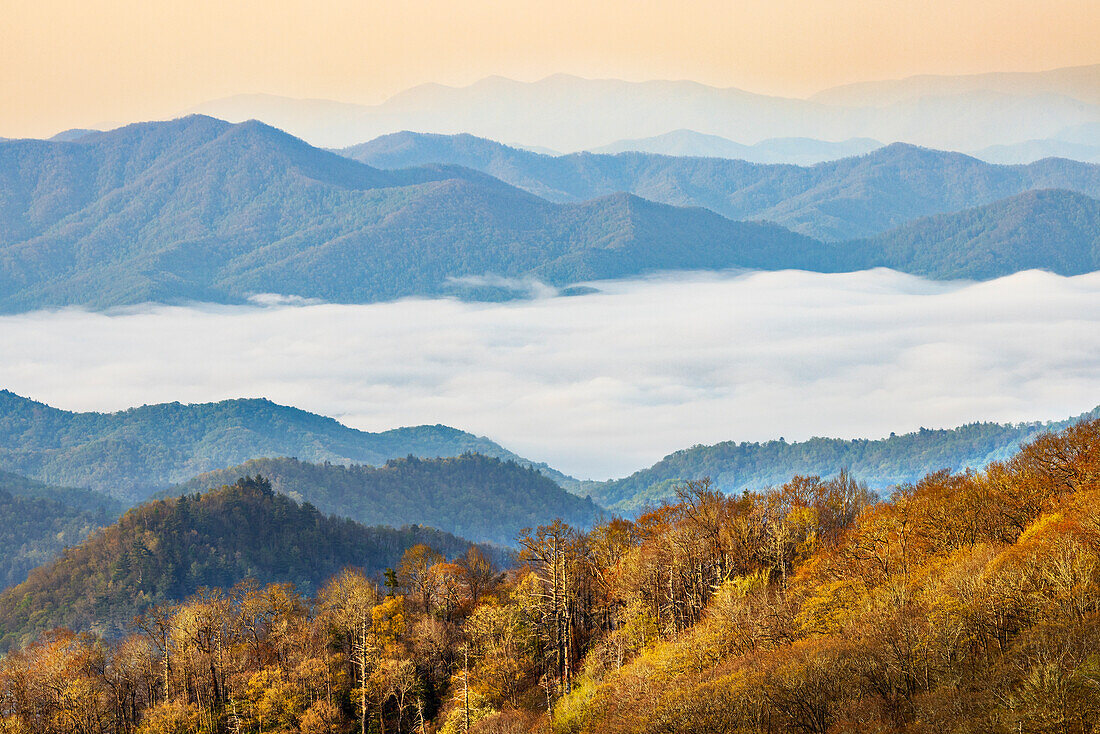 Frühlingsmorgen und Nebelschwaden im Deep Creek Valley, Great Smoky Mountains National Park, North Carolina