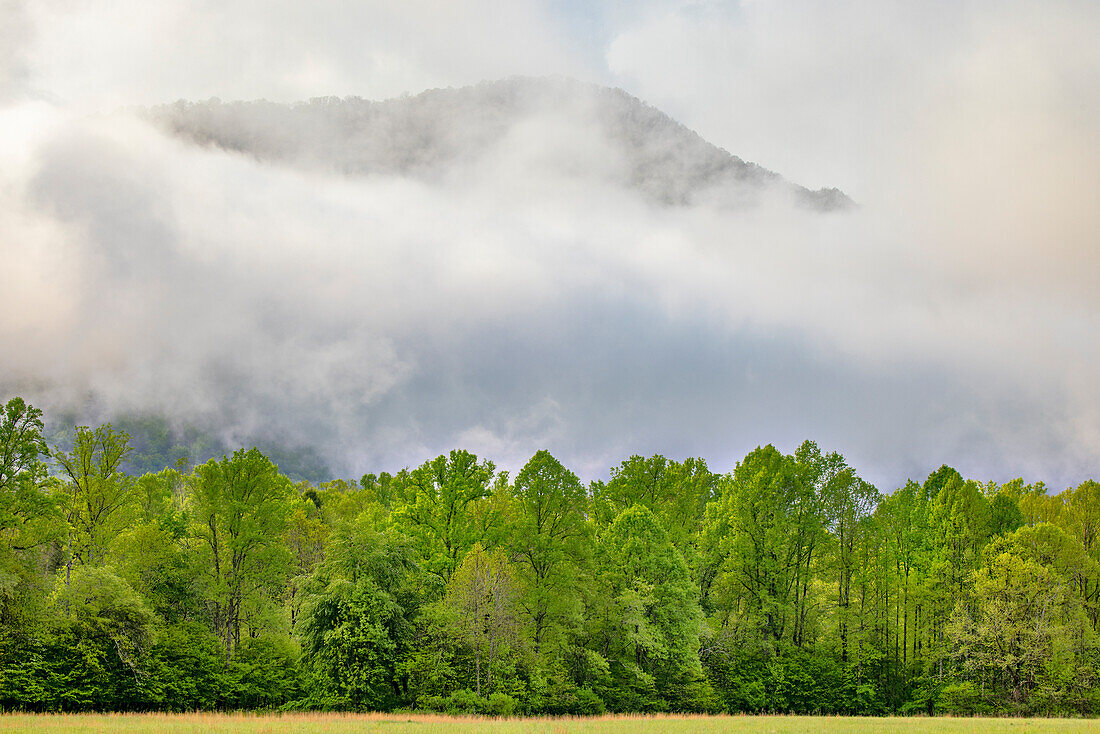 Im Morgennebel aufsteigender Berggipfel, Oconaluftee Mountain Farm Museum, Great Smoky Mountains National Park, North Carolina