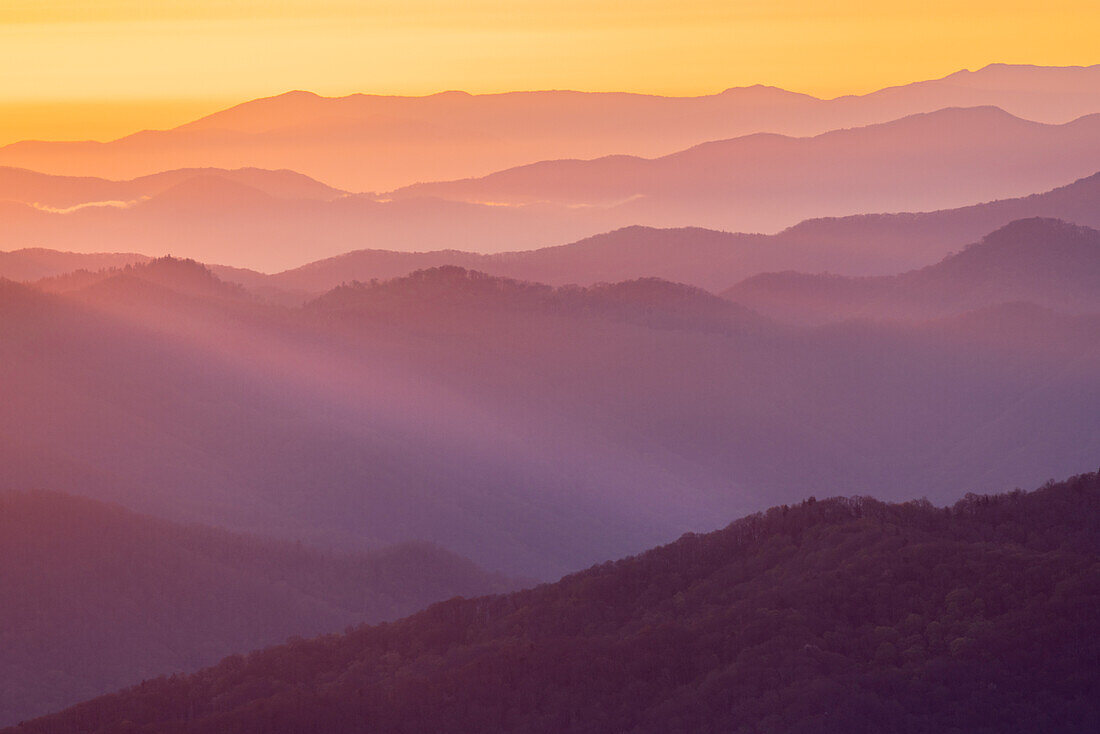 Frühlings-Sonnenaufgang mit Blick auf Berge und Nebel, vom Clingmans Dome-Gebiet aus, Great Smoky Mountains National Park, North Carolina