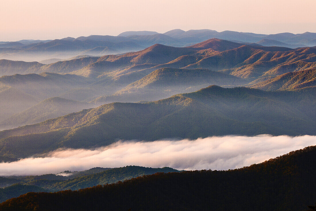 Frühmorgendlicher Frühlingsblick auf Berge und Nebel, vom Clingmans Dome-Gebiet aus, Great Smoky Mountains National Park, North Carolina