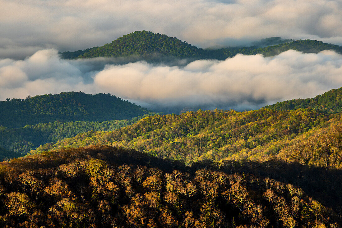 Early morning spring view of mountains and mist, from Clingmans Dome area, Great Smoky Mountains National Park, North Carolina