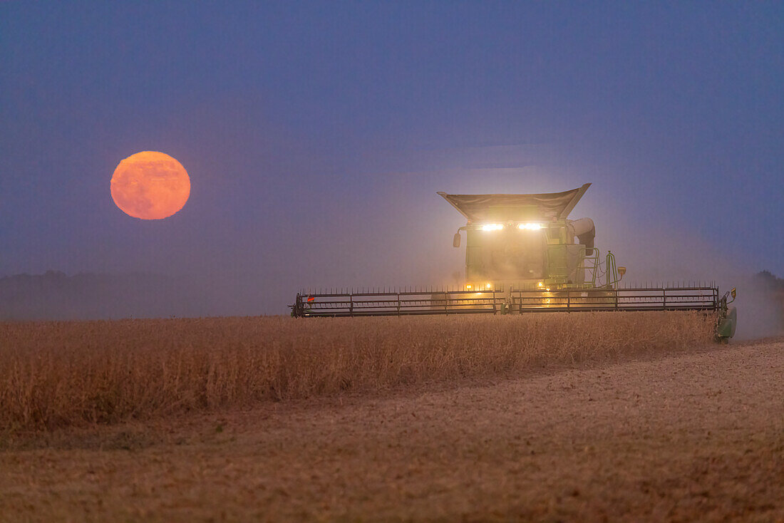 Combine harvesting soybeans as full moon rises (harvest moon), Marion County, Illinois. (Editorial Use Only)