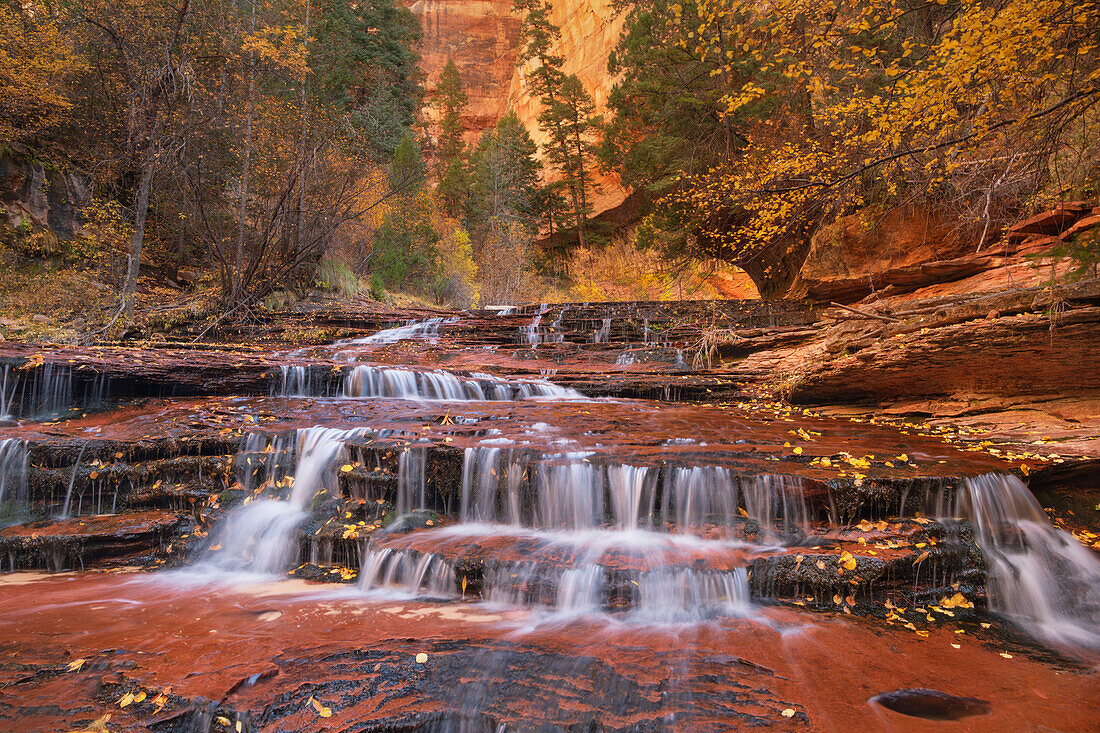 Archangel Falls on Left Fork of North Creek, Zion National Park