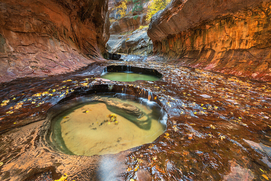 Emerald green pools in The Subway, Left Fork of North Creek, Zion National Park, Utah.