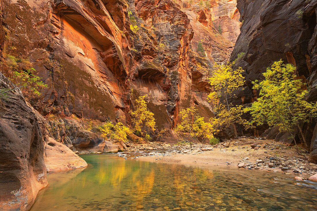 Herbstfarben im Zion Canyon The Narrows, Zion National Park, Utah.