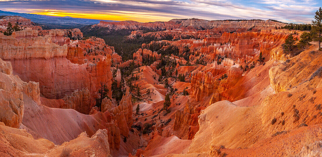 USA, Utah, Zion-Nationalpark. Panoramablick auf Fairyland Point im Zion Canyon bei Sonnenaufgang.