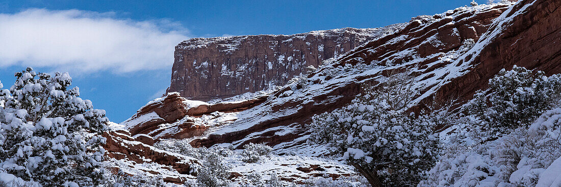 USA, Utah. Winterlicher Schneefall im Castle Valley.