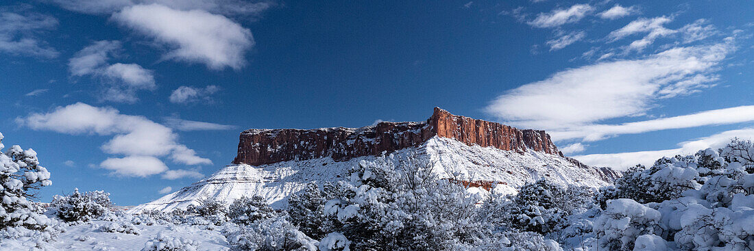 USA, Utah. Winter snowfall in Castle Valley.