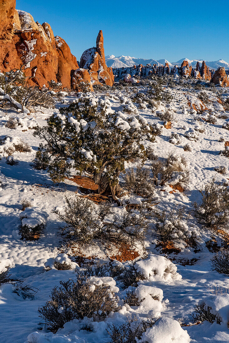 USA, Utah. Winter snowfall in Arches National Park.