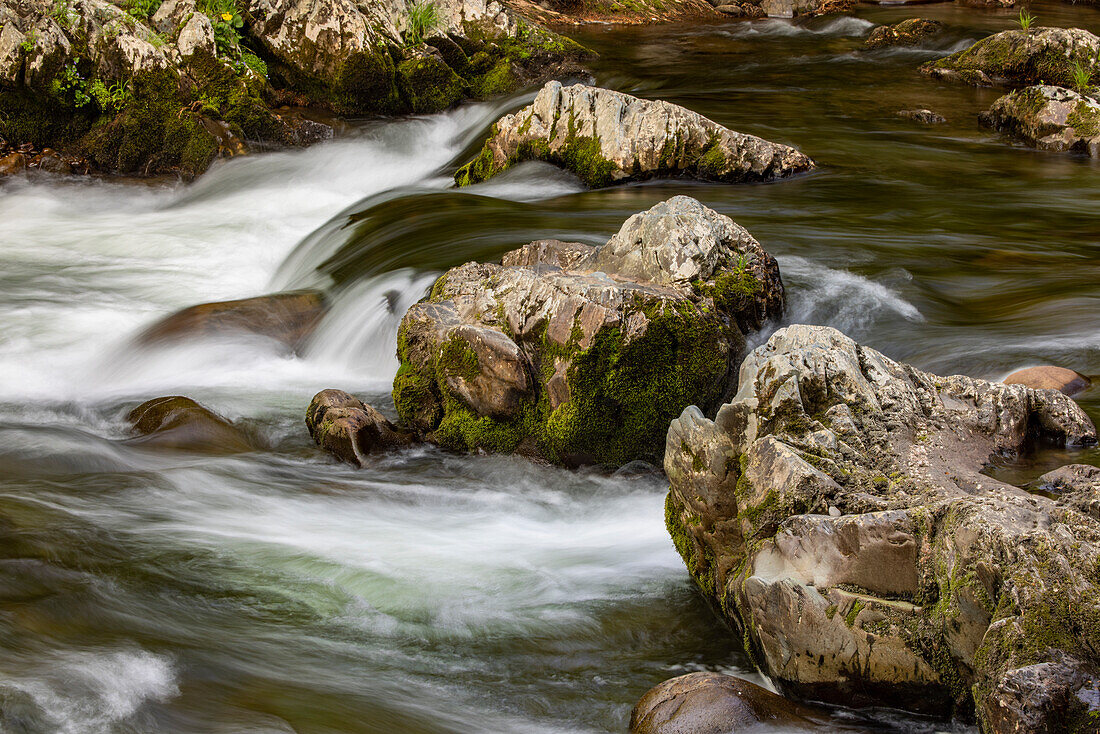 Fließender Gebirgsbach und Felsbrocken, Great Smoky Mountains National Park, Tennessee