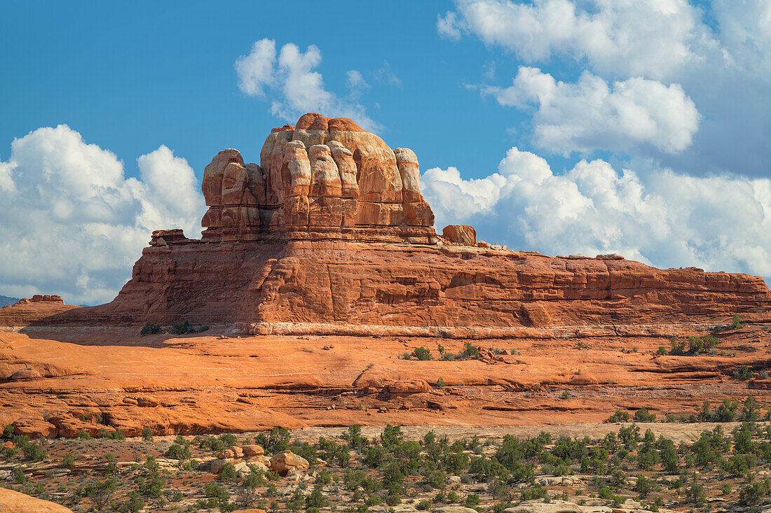 Needles-Bezirk, Canyonlands-Nationalpark, Utah.