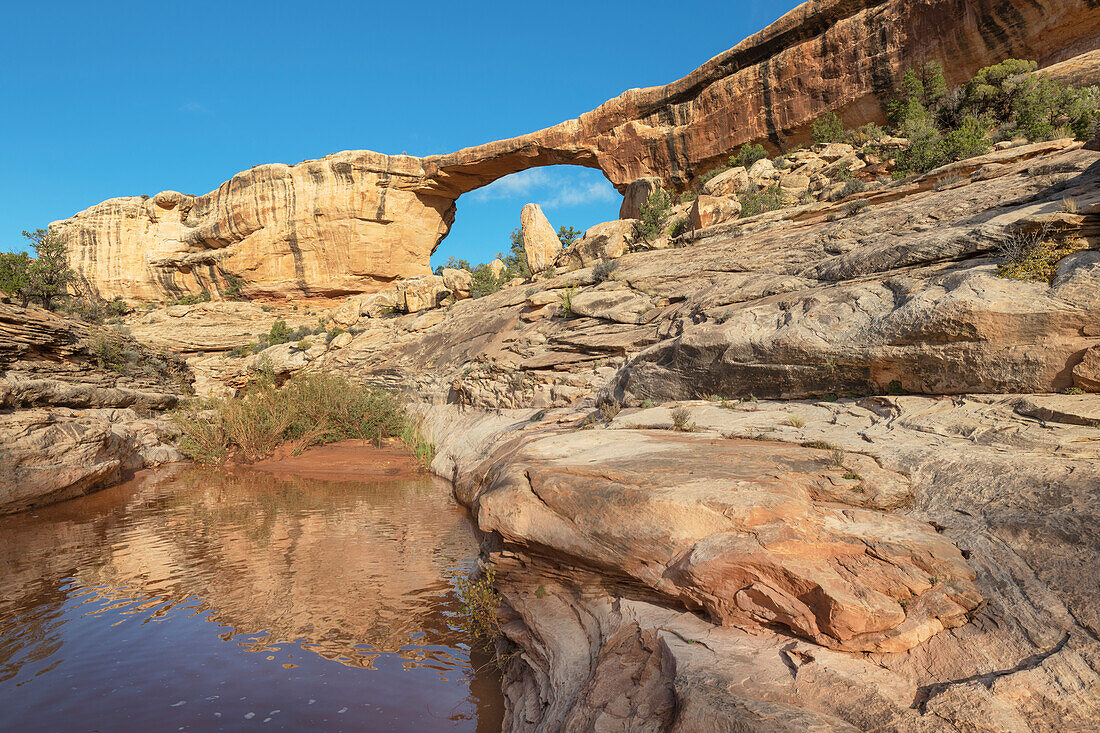 Owachomo Bridge, Natural Bridges National Monument, Utah.