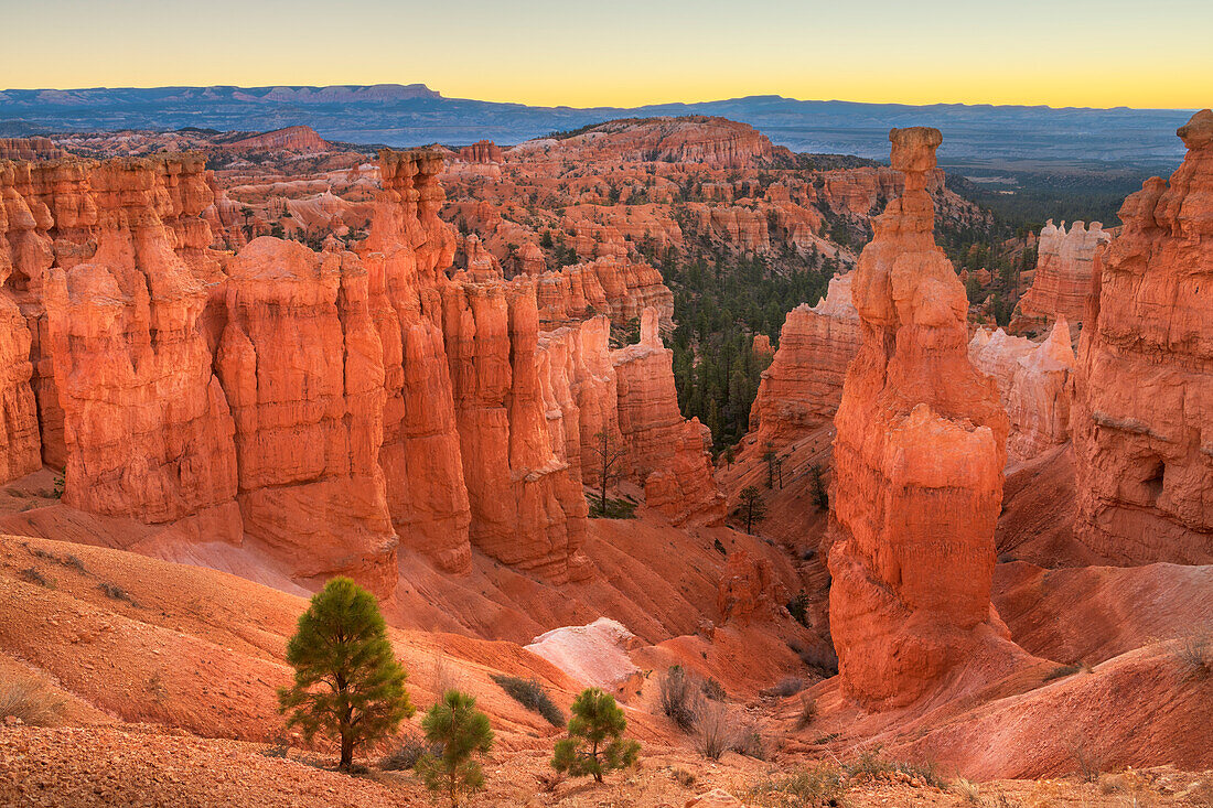 Thor's Hammer und farbenfrohe Hoodoos von unterhalb des Canyonrands am Sunrise Point, Bryce Canyon National Park, Utah, aus gesehen.