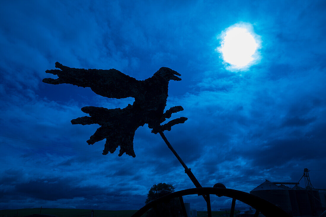 USA, Washington State, Palouse, Colfax. weathervane. Bird.