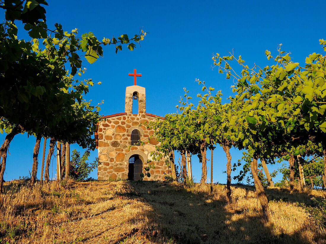 Red Willow Vineyards with stone chapel. (PR)