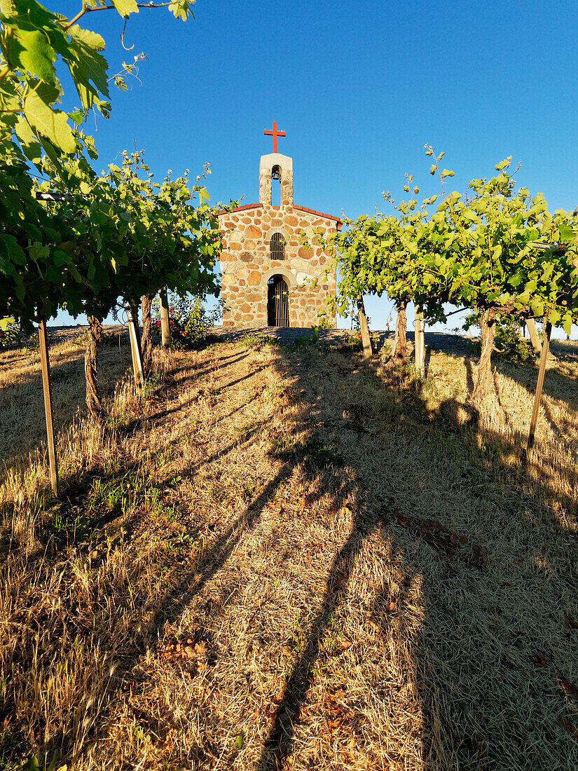 Red Willow Vineyards mit Steinkapelle. (PR)