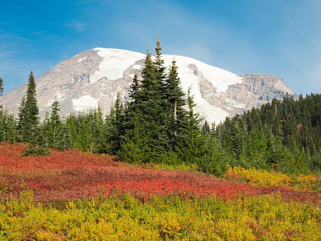 USA, Bundesstaat Washington, Mount Rainier National Park. Herbstfarben und schneebedeckter Mount Rainier