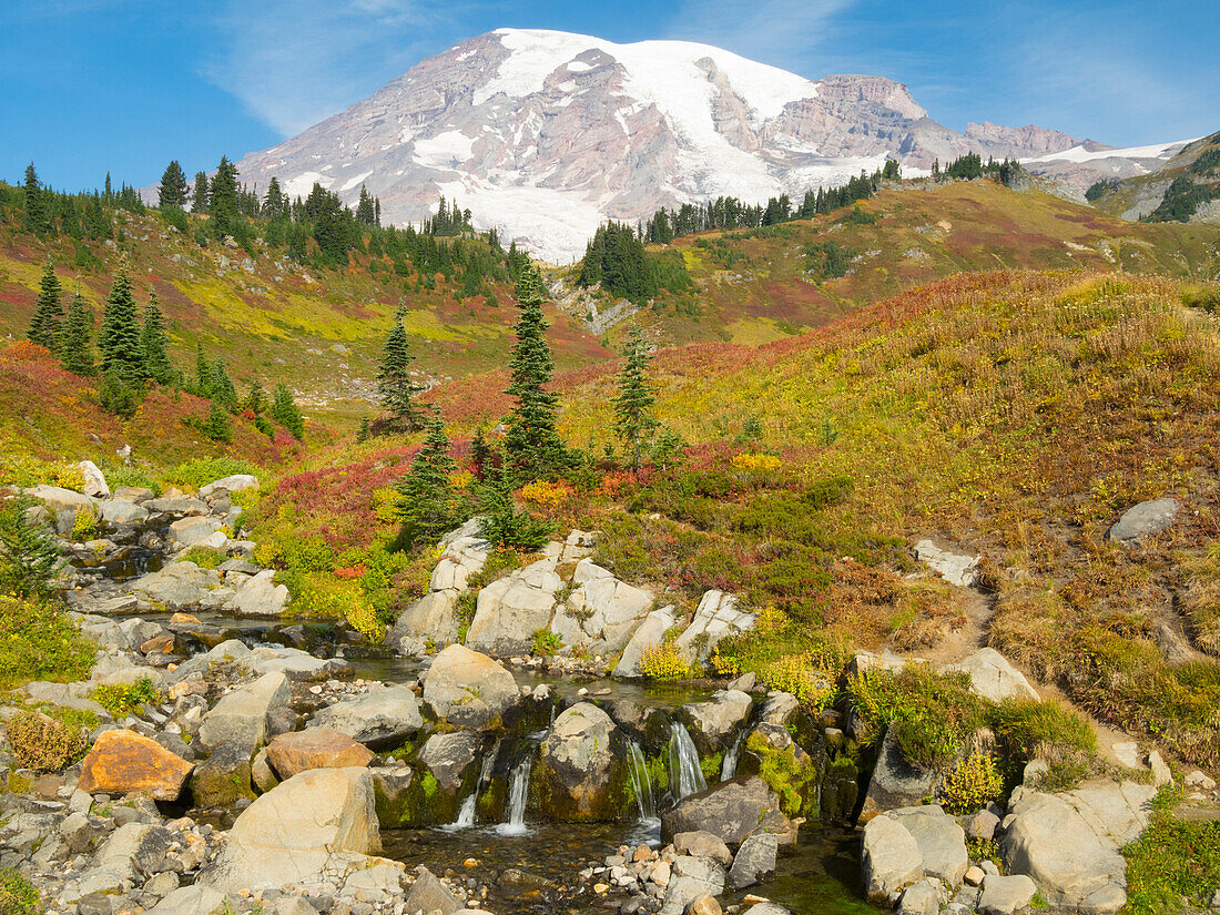 USA, Washington State, Mount Rainier National Park. Mount Rainier and fall color, with Edith Creek