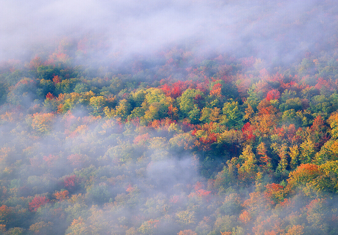 USA, Vermont. Überblick über Wolkenfetzen und Wald im Herbstlaub.