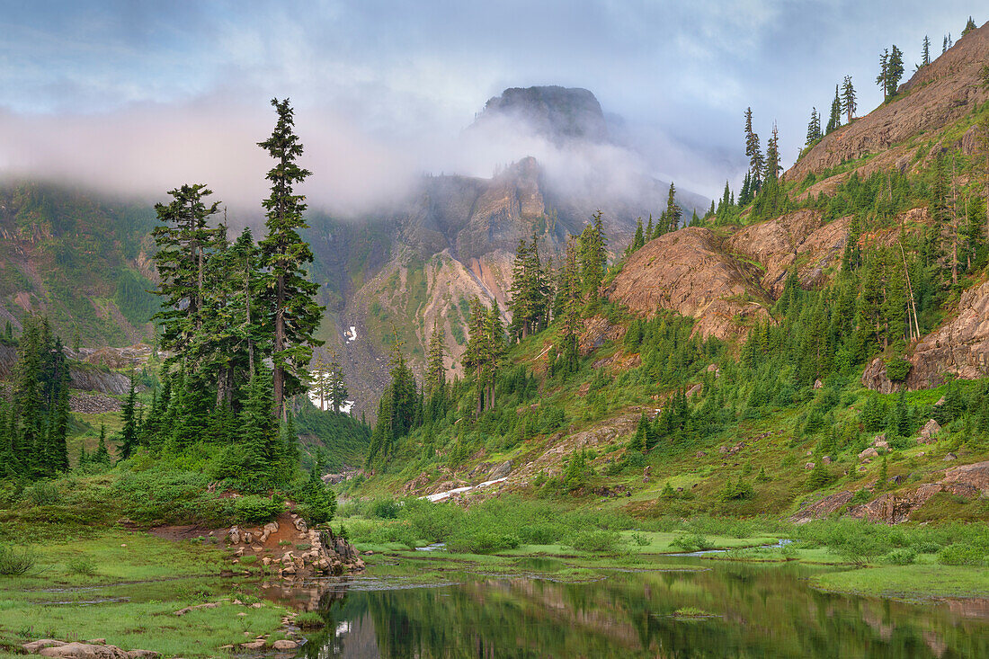 Table Mountain, Heather Meadows, Mount Baker Snoqualmie National Forest. North Cascades, Washington State