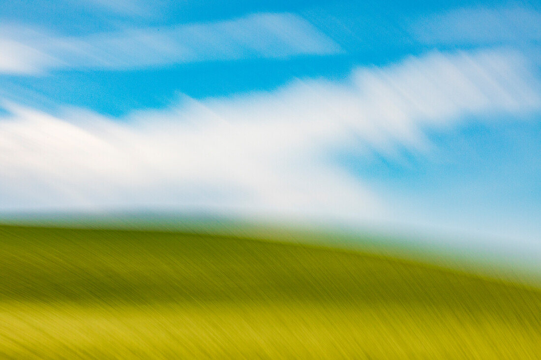 USA, Washington State, Palouse. Pullman. Green wheat fields and blue sky.