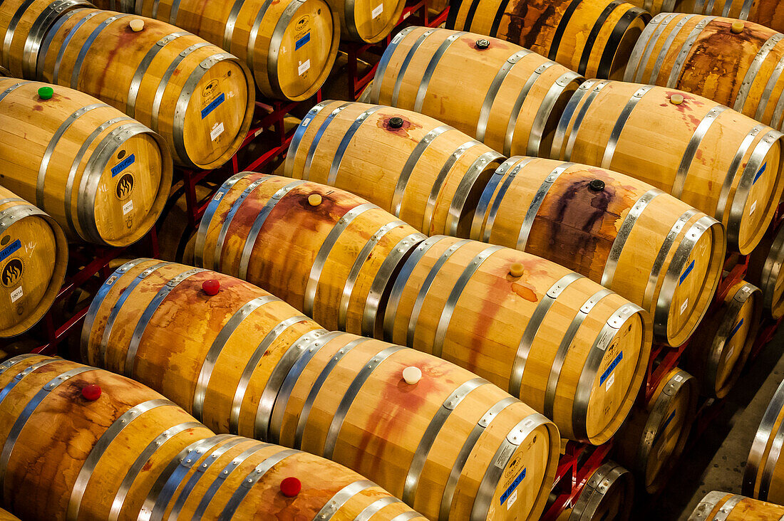 USA, Bundesstaat Washington, Woodinville. In einem Fasskeller lagern Hunderte von Weinfässern. (Nur für redaktionelle Zwecke)