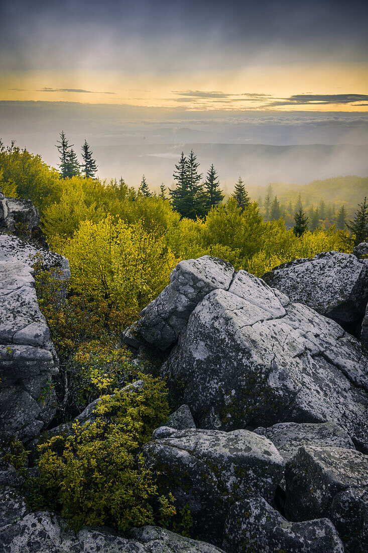 USA, West Virginia, Dolly Sods Wilderness Area. Sonnenaufgang über Felsbrocken und Wald.