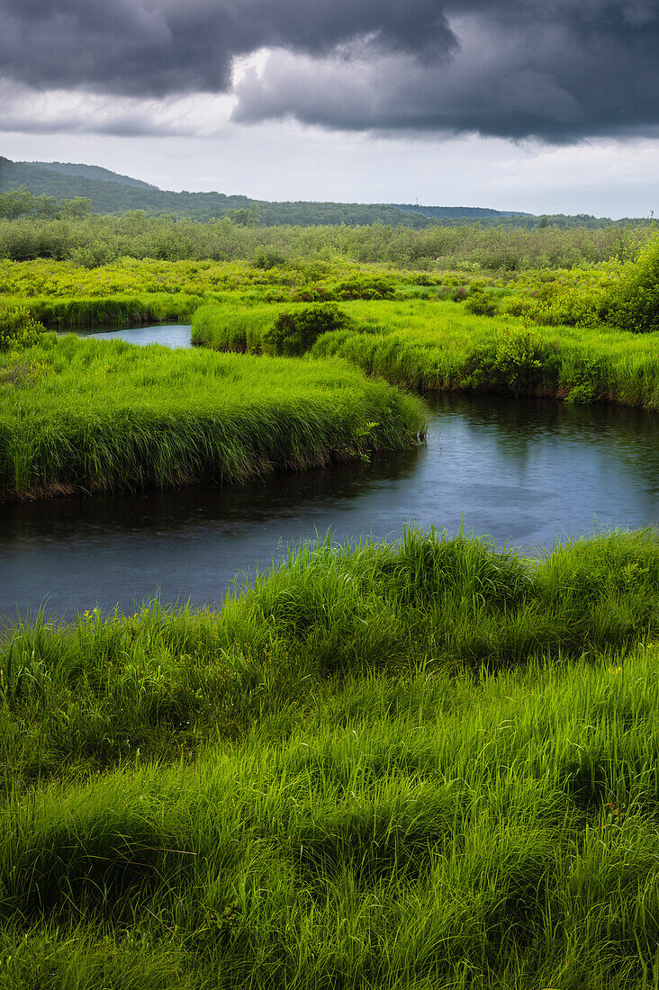 USA, West Virginia, Canaan Valley State Park. Gewitterwolken über einem Bach in einem grasbewachsenen Tal.