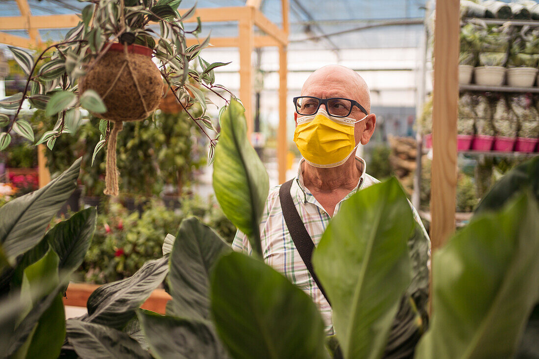 Älterer männlicher Einkäufer mit Brille und Schutzmaske wählt eine Pflanze aus, während er während der COVID 19-Pandemie im Gartengeschäft wegschaut