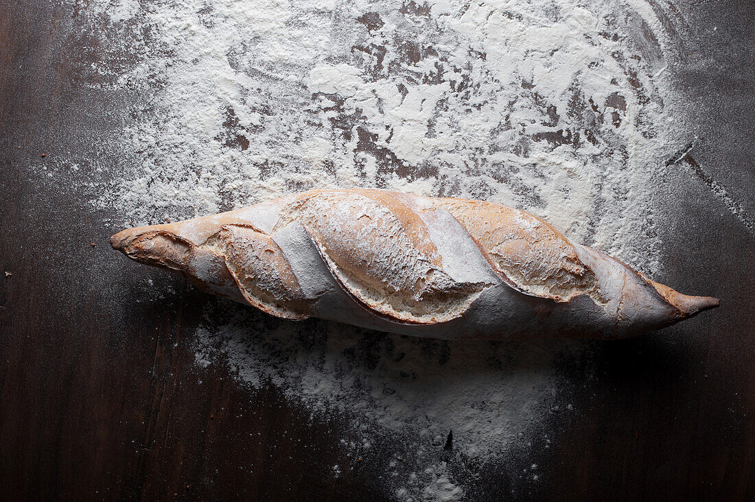 Appetitliches, frisch gebackenes Baguette mit knuspriger Kruste auf einem Holztisch mit weißem Mehl bedeckt vor schwarzem Hintergrund