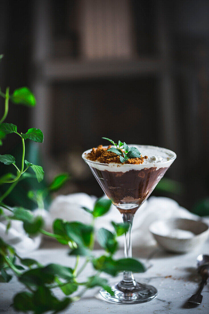 Glas süßes Mousse mit Schokolade und Kokosnuss, garniert mit Minzblättern und auf einem Tisch mit Grünpflanzen platziert