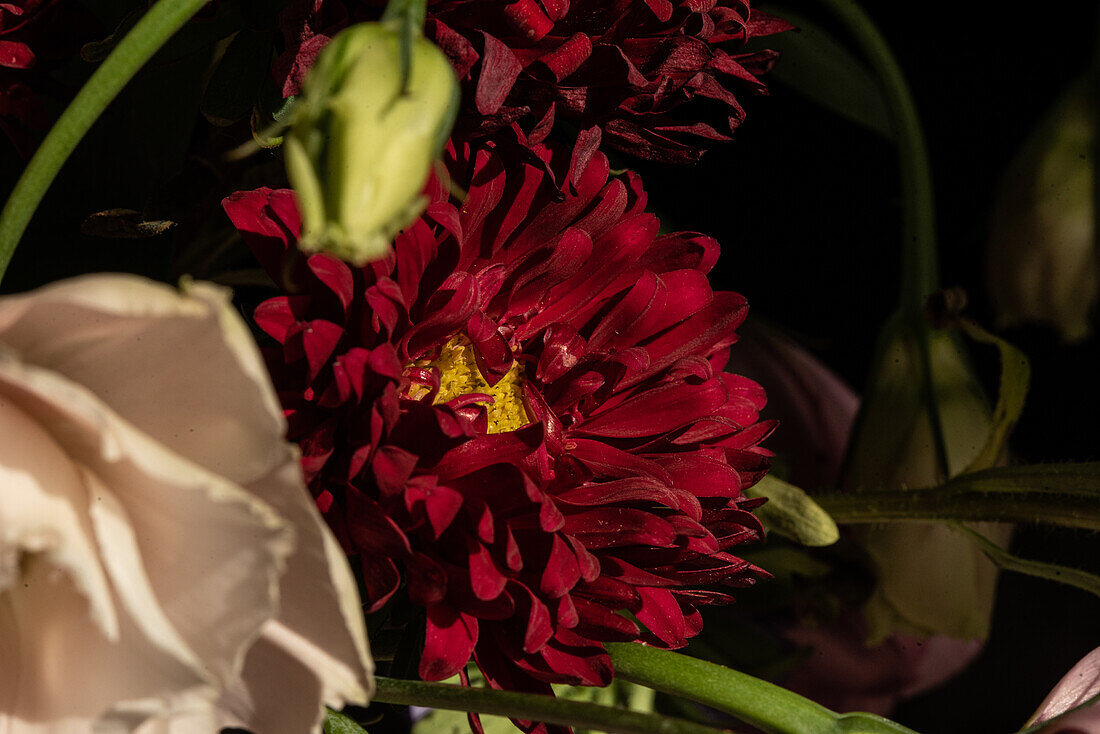 Frischer Blumenstrauß mit weißen Lilien, Eustoma und Aster in Glasvase bei Sonnenschein