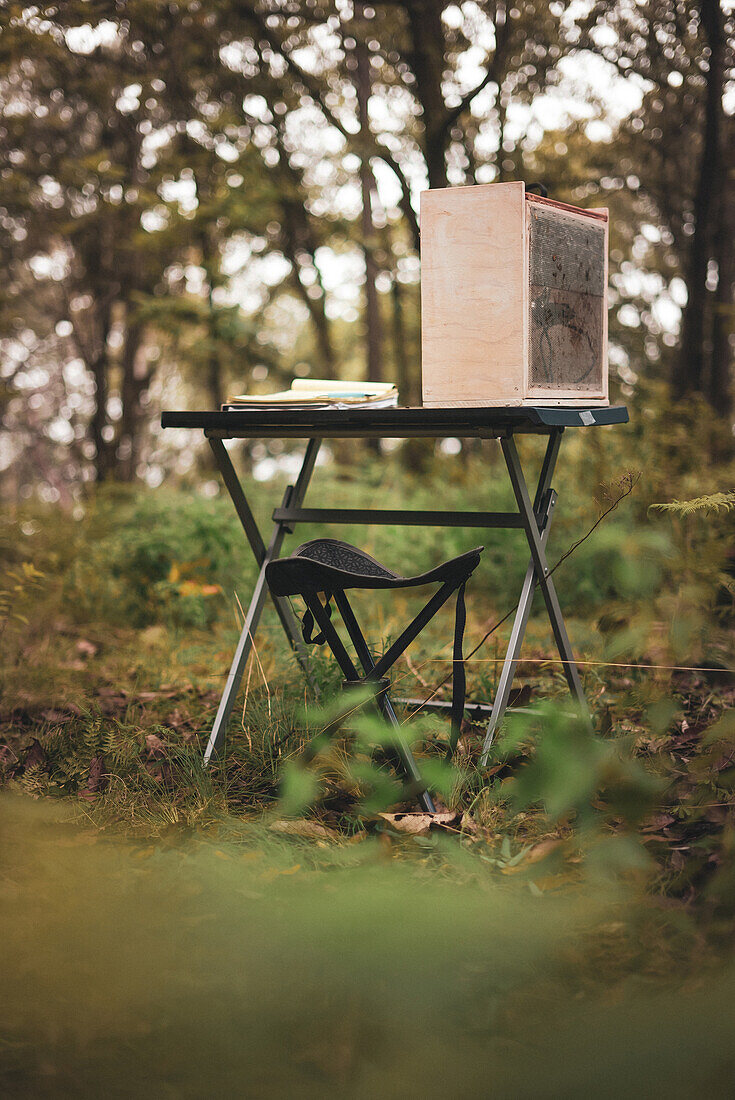 Papierdokument auf einem Tisch neben einem tragbaren Trockner für Pilze in einem Wald mit trockenen, gefallenen Blättern