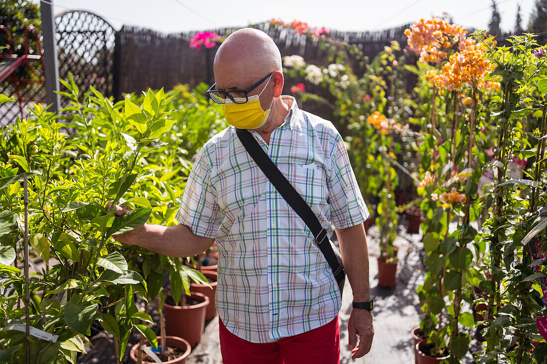Älterer männlicher Einkäufer mit Brille und Einwegmaske, der in einem Gartencenter Pflanzen in Töpfen auswählt