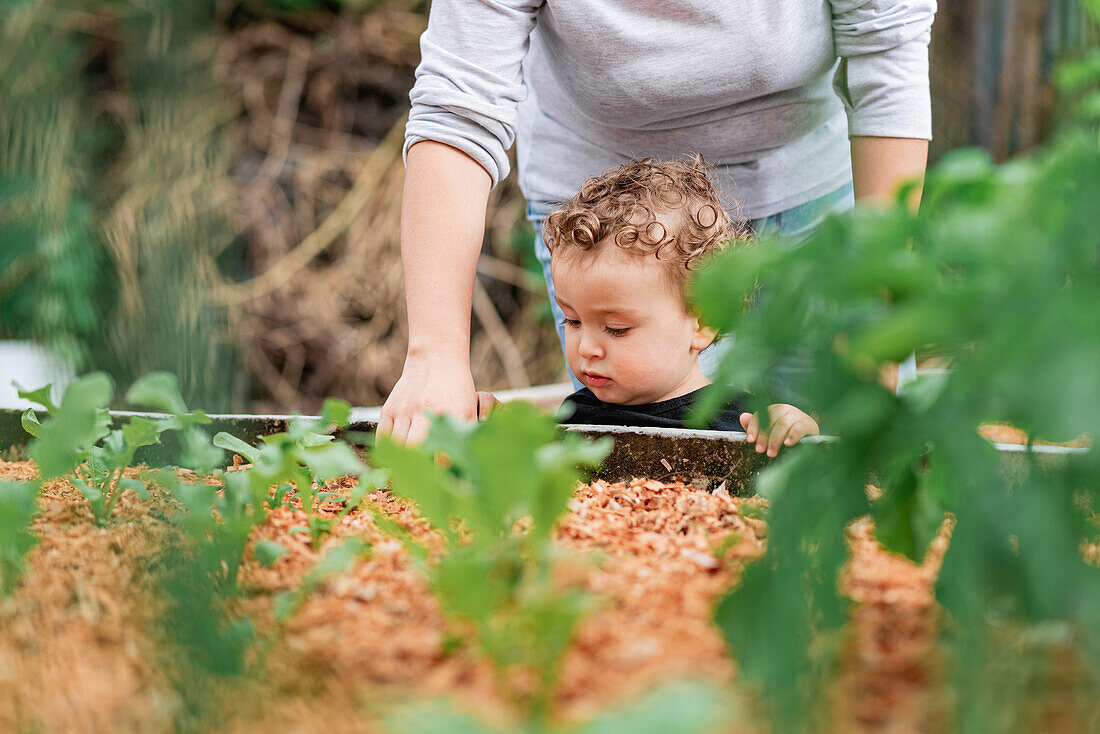 Abgeschnittene, nicht erkennbare Gärtnerin pflanzt im Garten mit kleinem Sohn auf dem Lande