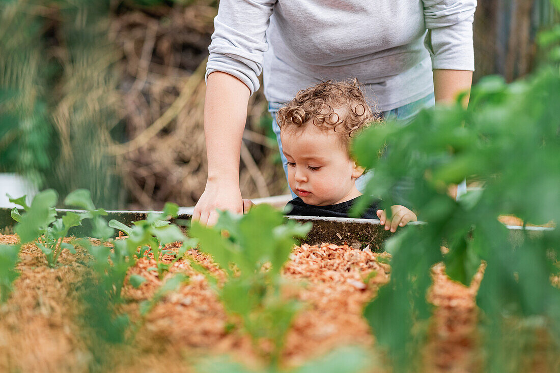 Cropped unrecognizable female gardener planting in garden with small son in countryside