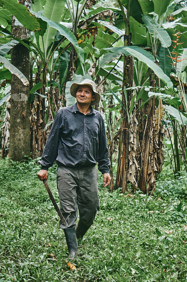 Positiver hispanischer Mann in Hemd und Eimerhut, der mit einer Machete geht und lächelnd wegschaut, während er auf einer ökologischen Bananenfarm in Costa Rica arbeitet