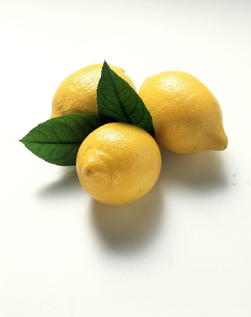 Drei Zitronen mit zwei Blättern