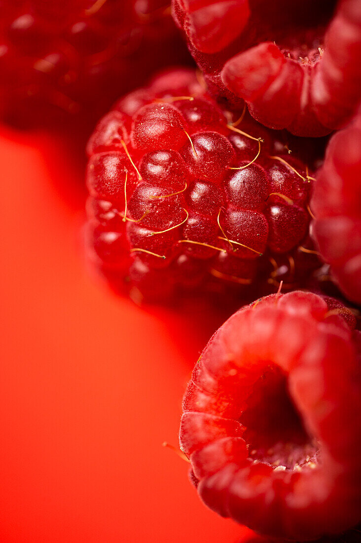 Nahaufnahme einer köstlichen frischen süßen reifen roten Himbeere