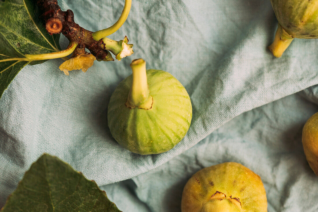 Reife süße grüne Feigen, frisch geerntet von einem heimischen Baum, auf dem pastellblauen Tischtuch. Gesundes und biologisches Obst. Auch bekannt als reife weiße Feigen