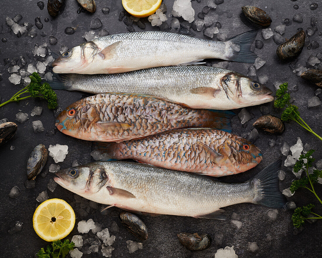 Draufsicht auf eine Auswahl frischer roher Fische und Muscheln, die mit geschnittenen Zitronenscheiben und Eiswürfeln bei der Zubereitung eines Abendessens auf dem Tisch serviert werden