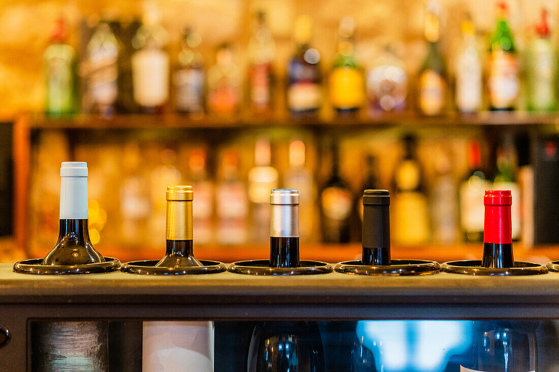 Glass bottles of red wine placed on bar counter in restaurant against blurred shelves with bottles of alcohol beverages