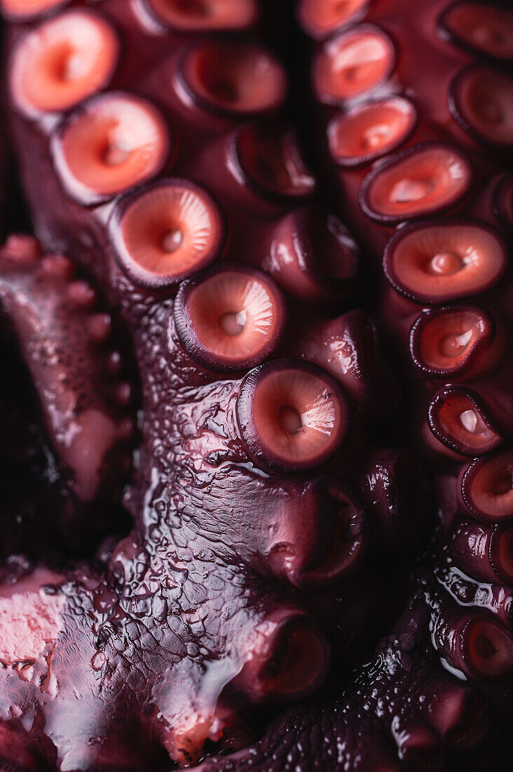 Nahaufnahme von frischen Oktopus-Tentakeln mit roten Saugnäpfen auf einem dunklen Tisch