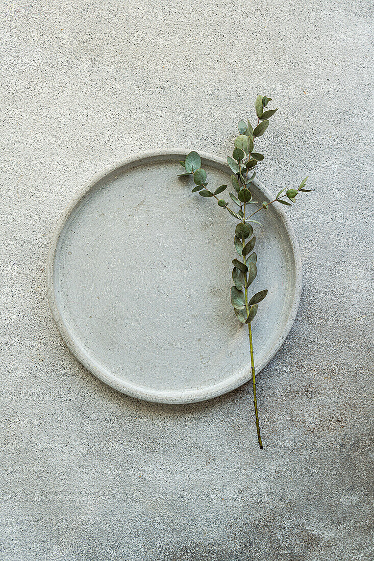 Ein einfacher Keramikteller mit einem zarten Eukalyptuszweig auf einem strukturierten Hintergrund