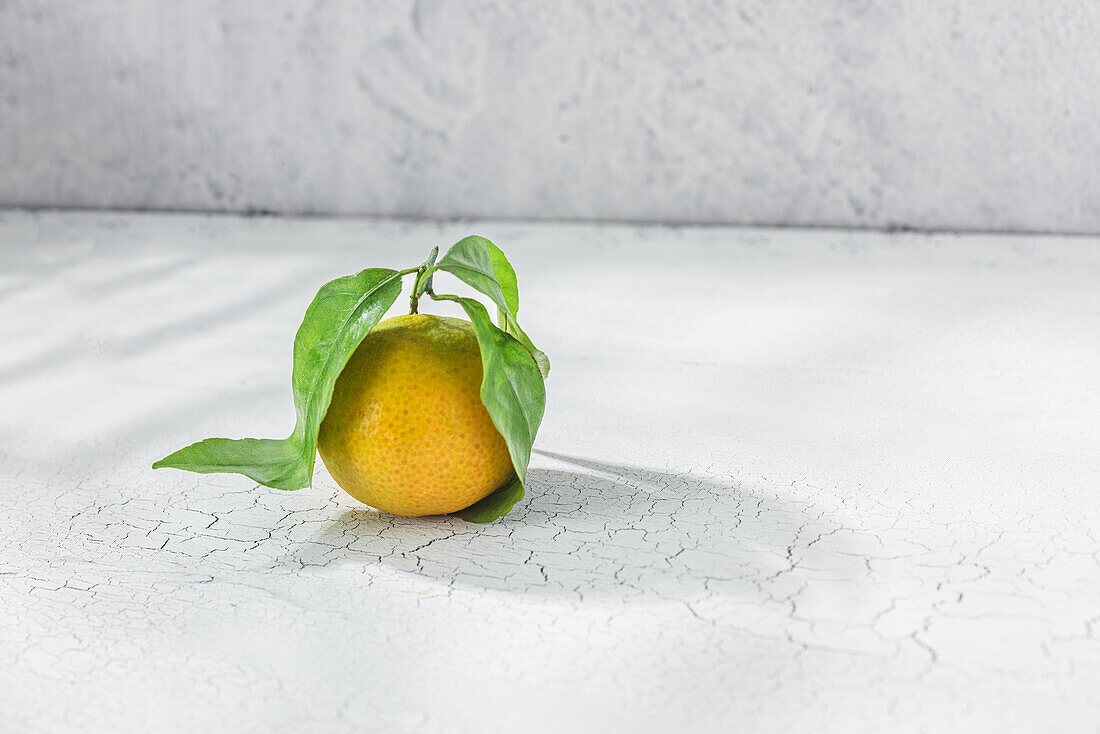 Orangefarbene Zitrusmandarine mit grünem Stiel und Blatt auf einem weißen Tisch liegend