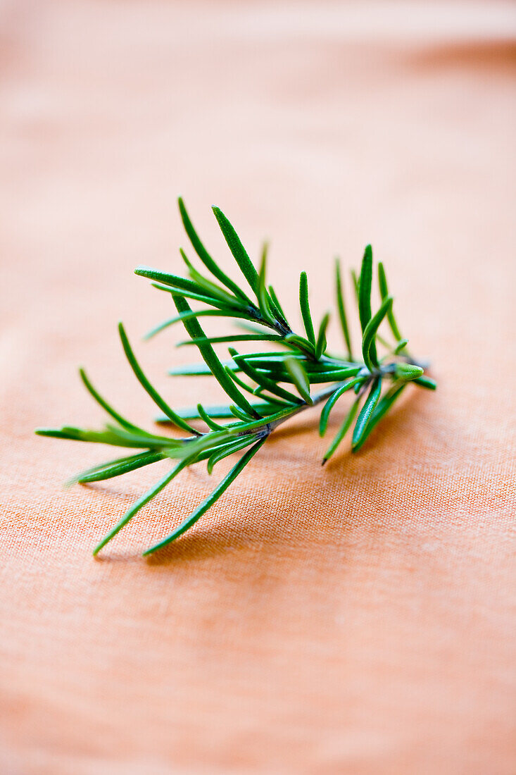 Sprig of rosemary on a fabric background