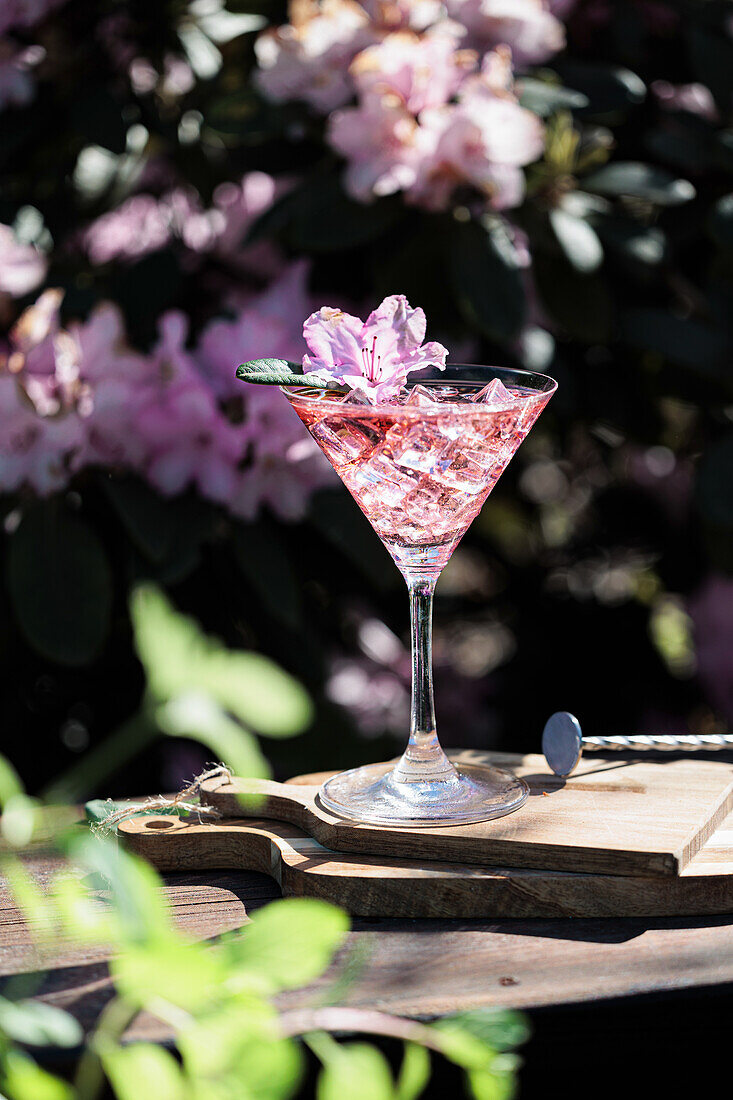 Pink gin cocktail with flower and ice cubes