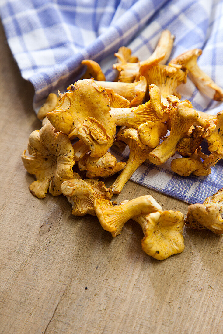 Fresh chanterelles on kitchen towel