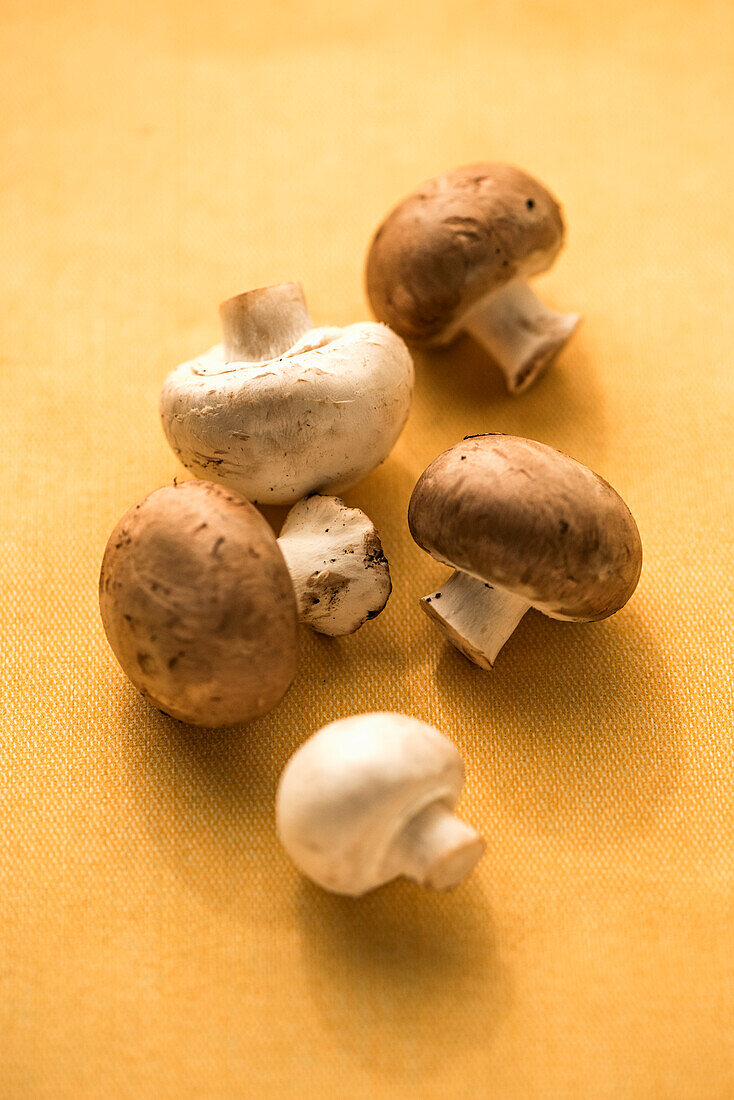 Weiße und braune Champignons auf gelbem Hintergrund