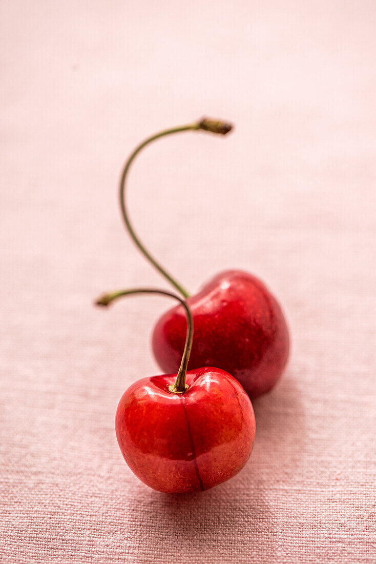 Two cherries on a pink background